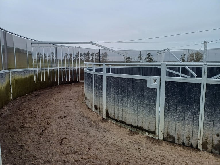 Führmaschiene, Solarium und Vibrationsplatte 
