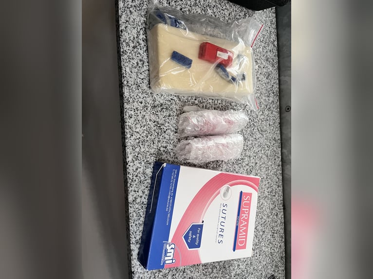 Jan Wolters Abfohlsystem Geburtsmelder 