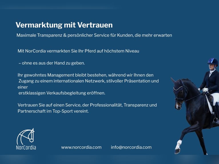 Mit NorCordia vermarkten Sie Ihr Pferd auf höchstem Niveau