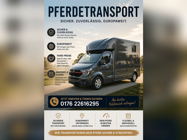 Pferdetransport