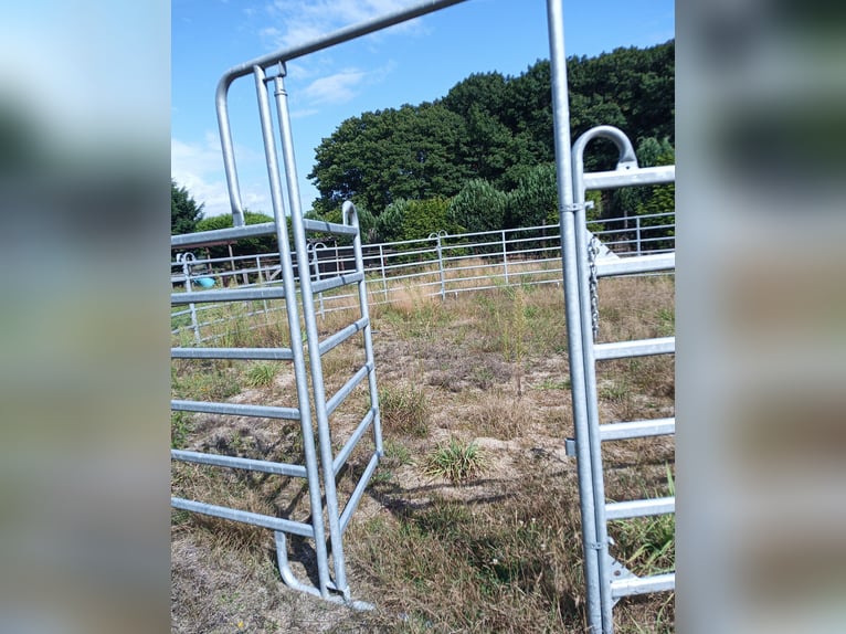 Roundpen aus Panel Teilen, 12m
