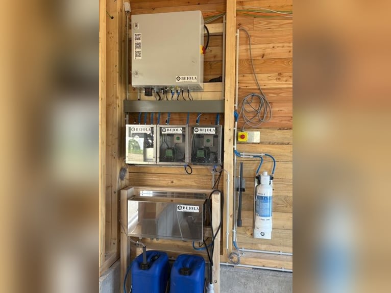 Sprühnebel-Anlage für den Pferdestall - Bejola inside