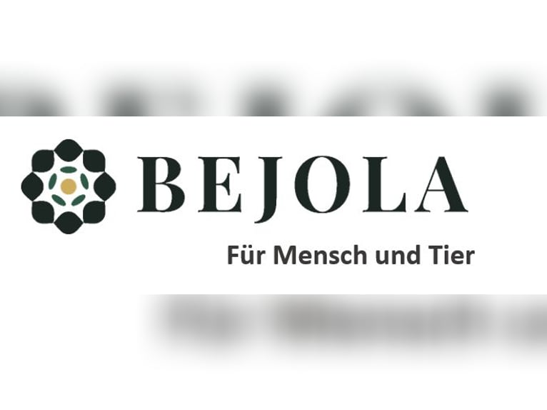 Sprühnebel-Anlage für den Pferdestall - Bejola inside