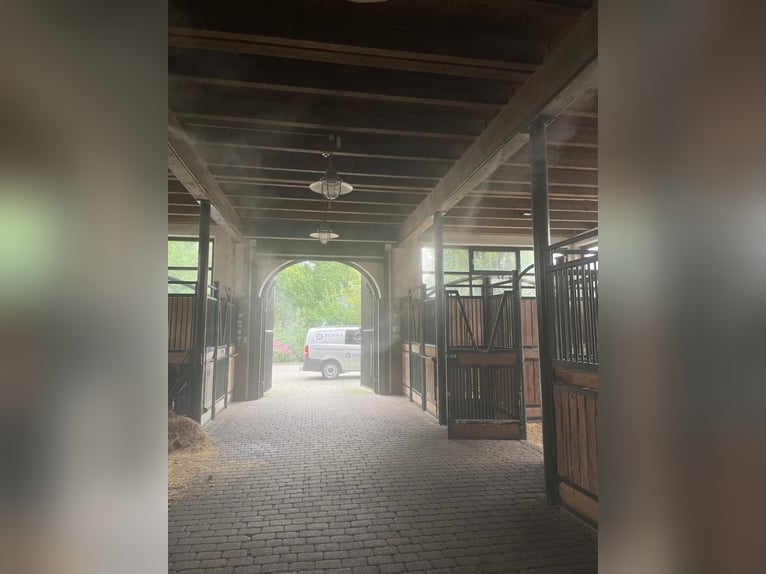 Sprühnebel-Anlage für den Pferdestall - Bejola inside