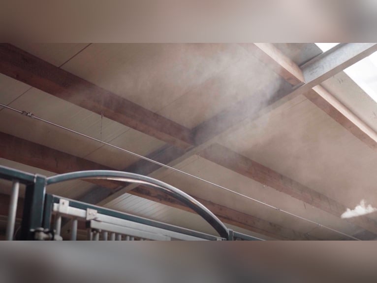 Sprühnebel-Anlage für den Pferdestall - Bejola inside