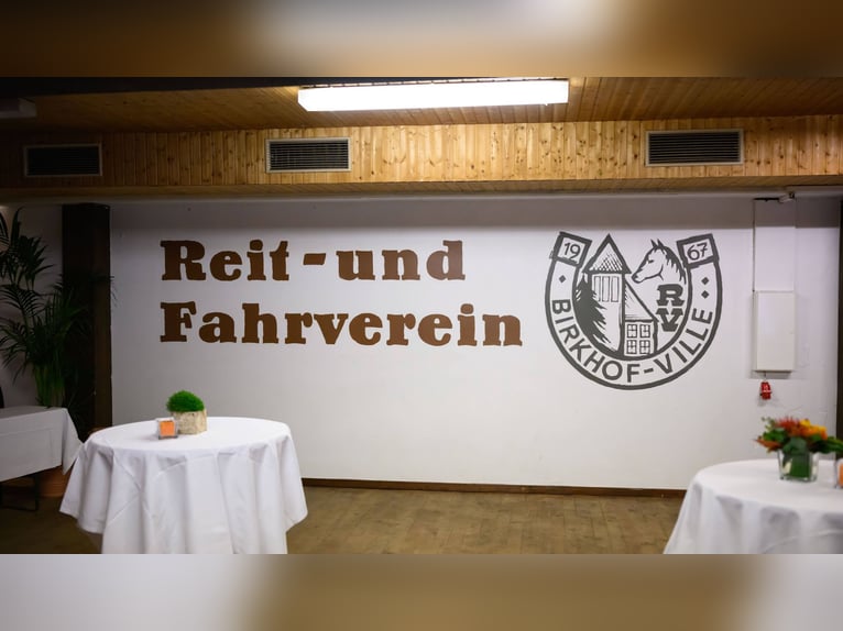 Stallmitarbeiter/in in Vollzeit gesucht!