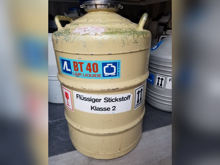 Stickstoffbehälter, Lagercontainer, Crytank, Stickstoff