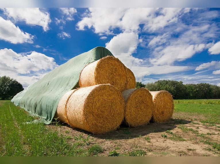 Strohvlies / Heuvlies - 9,8 x 25m - 140g/m²