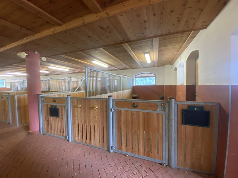 Verkaufe komplette Reitschule RÖWER & RÜB (12 Boxen) + Solarium für Pferde
