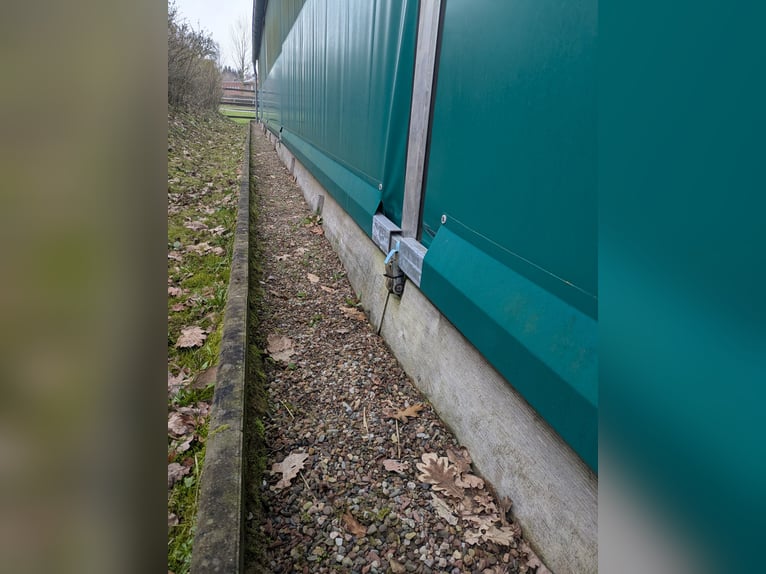 Zelthalle 15x30m als Reitzelt, Lagerhalle oder Veranstaltungszelt zu verkaufen