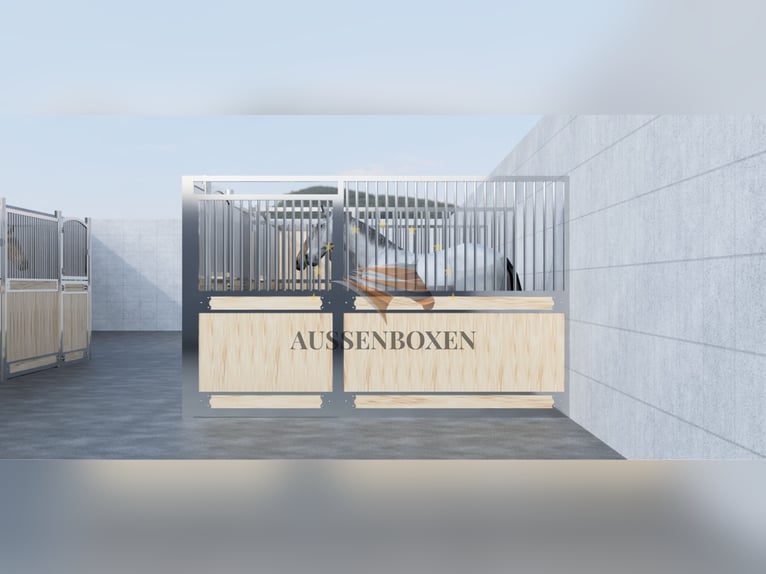 Boxenstall - Pferdebox & Stallboxen | Trennwand und Boxenfront Top für Ihre Pferdehaltung