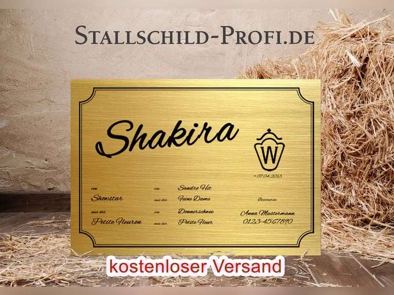 Dein individuelles Boxenschild für dein Pferd - selbst gestalten oder vom Profi gestalten lassen