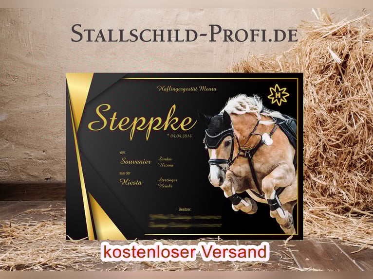 Dein individuelles Boxenschild für dein Pferd - selbst gestalten oder vom Profi gestalten lassen