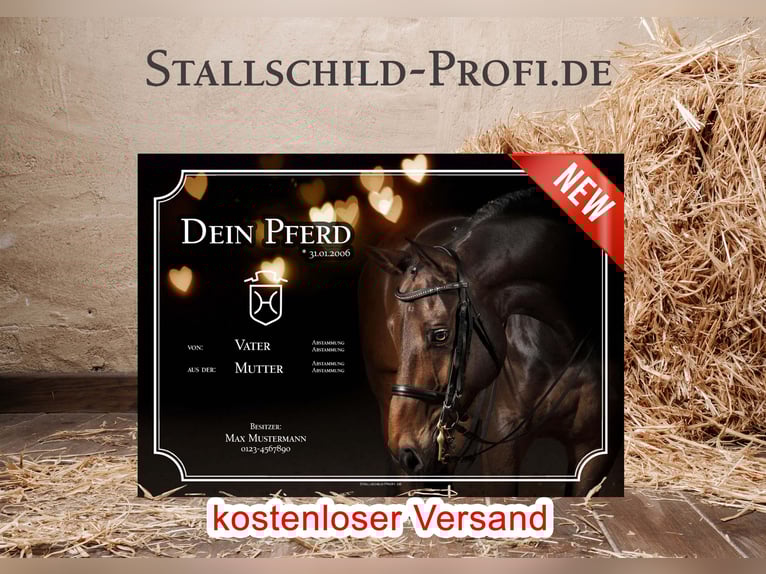 Dein individuelles Boxenschild für dein Pferd - selbst gestalten oder vom Profi gestalten lassen