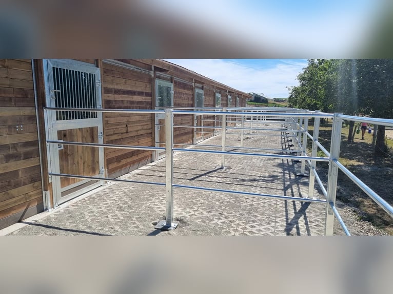 Hochwertige Stalltüren, Paddocktüren und Stalltore für Pferdeställe | Schiebetüren für Ställe