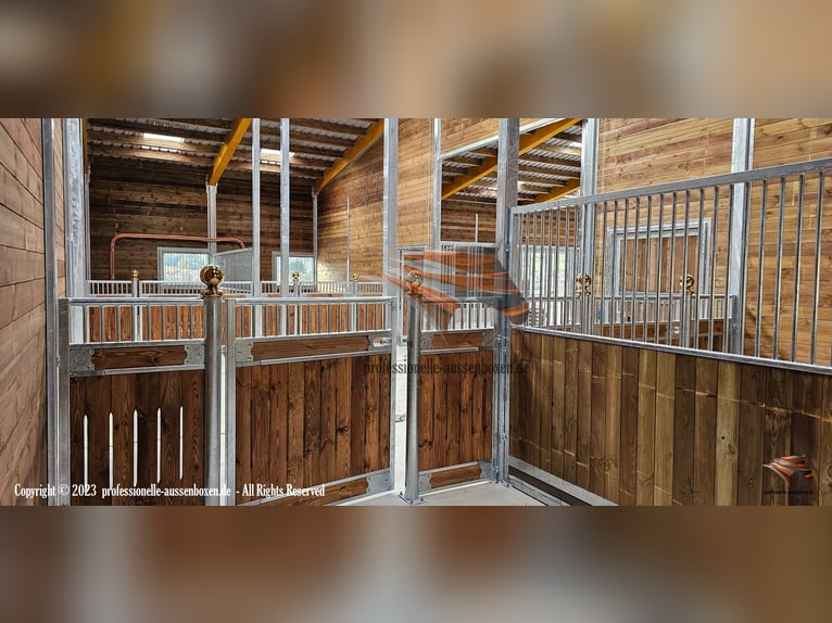 Innenbox für Pferd: Pferdebox, Stallwand & Vorderfront, Boxentrennwand Komplette Stallbox