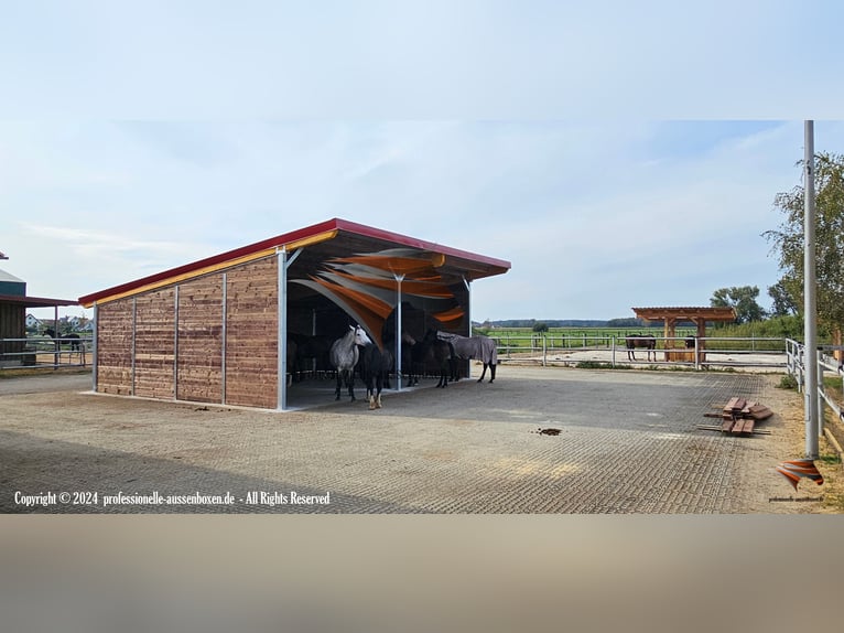 Offenstall bauen & Pferdeunterstand, Weideunterstand - Weidehütte pferd