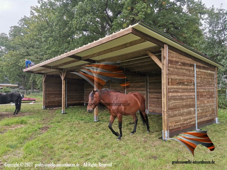 Offenstall bauen & Pferdeunterstand, Weideunterstand - Weidehütte pferd