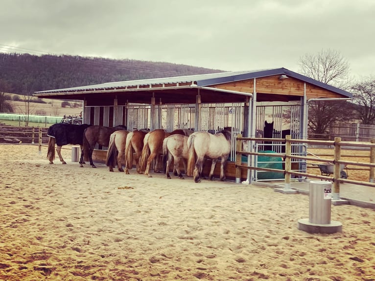 Offenstall bauen & Pferdeunterstand, Weideunterstand - Weidehütte pferd