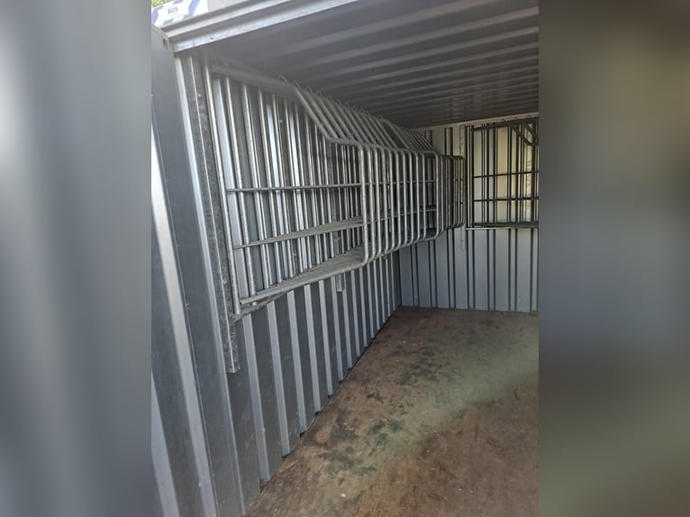 Praktischer Deckencontainer mit 30 Haltern