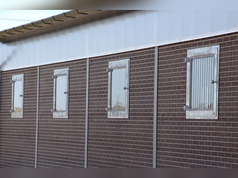 Stallfenster | Pferdebox Fenster | Stallfenster Pferde