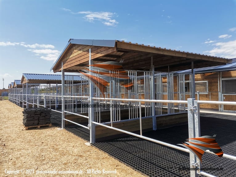 AMERICAN BARN – TOP Stallbau: Pferdestall, Außenboxen, Pferdeboxen, Offenstall und Weidehütten