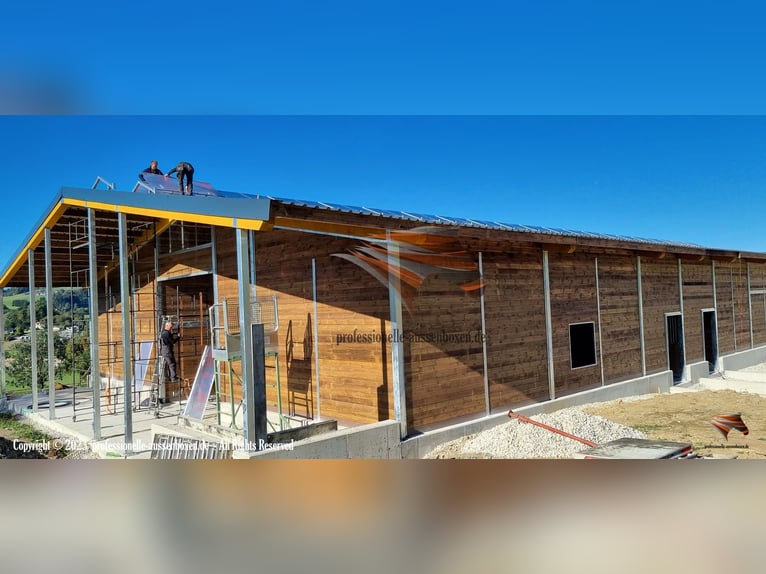 AMERICAN BARN - TOP Stallbau, Pferdestall bauen, Außenboxen und Pferdeboxen, Offenstall, Weidehütte