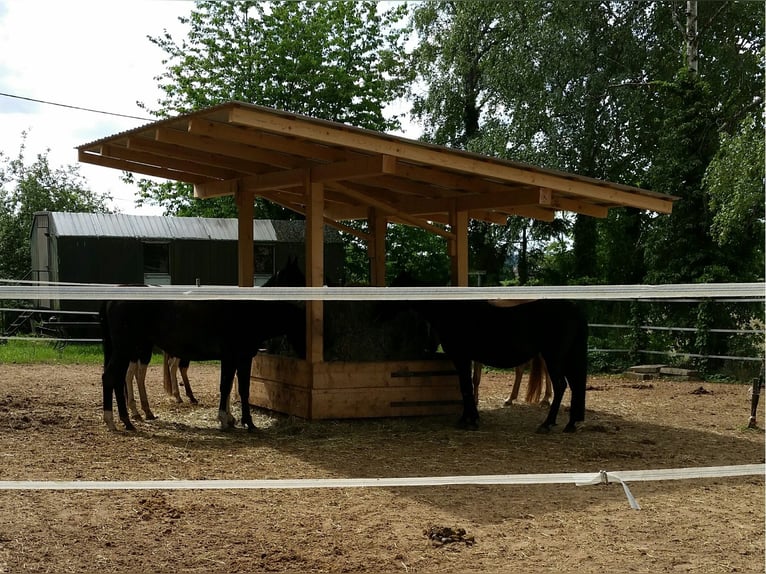 Hochwertige Heuraufe 2 x 2m, massiv, extrem stabil, mit 5 x 5m Dach