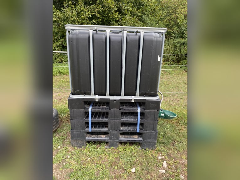 IBC Container 600l schwarz mit Tränker