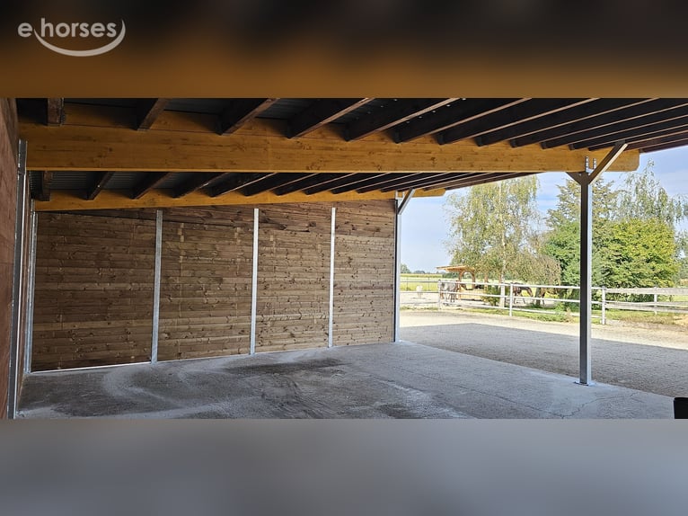 Laufstall für Pferde kaufen - Offenstall bauen, Weidehütte suchen, Pferdeunterstand bestellen
