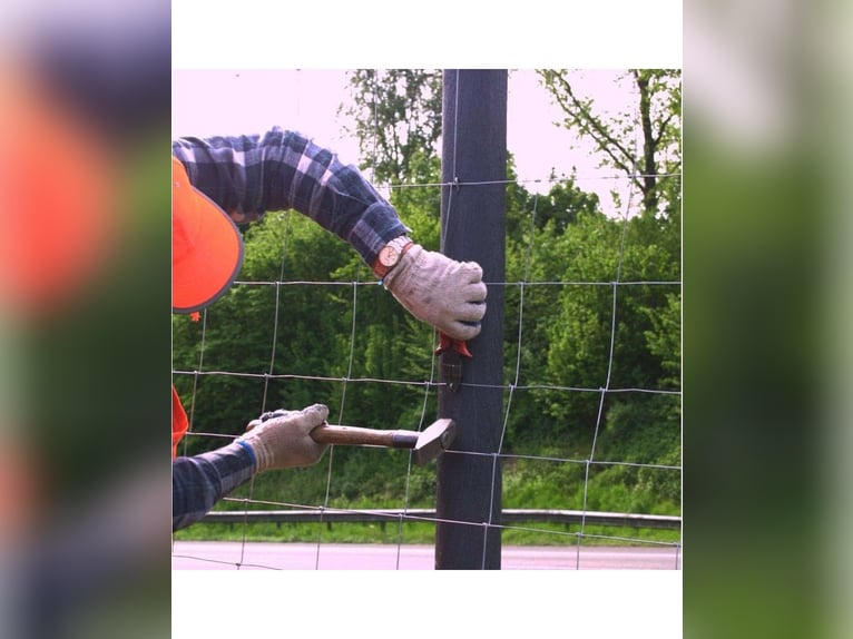 Recyclingpfähle, 10 x 230 cm, Zaunpfähle, Koppelpfosten, Freihaus