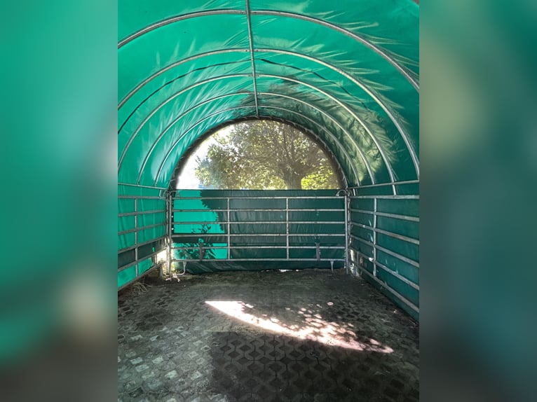 Weidezelt von GROWI®Rundbogen Weideunterstand