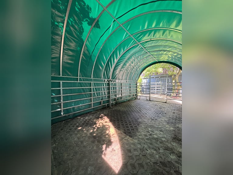 Weidezelt von GROWI®Rundbogen Weideunterstand