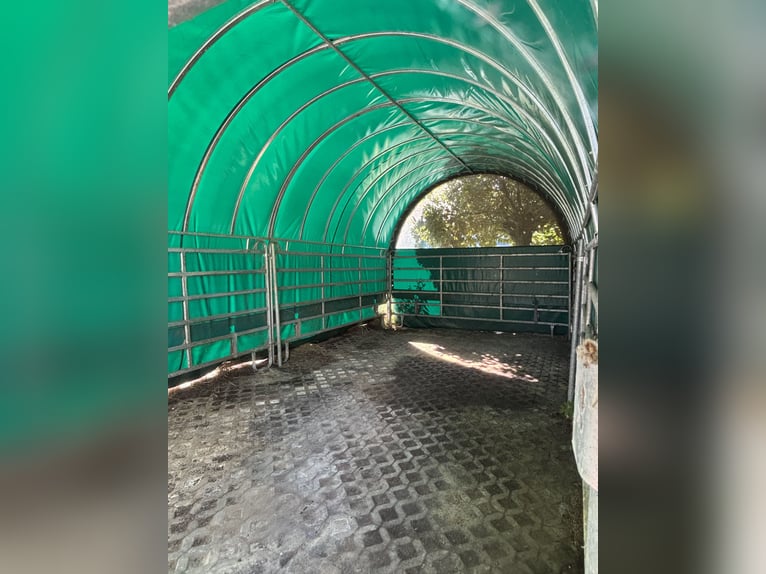 Weidezelt von GROWI®Rundbogen Weideunterstand . Nicht nur merken 