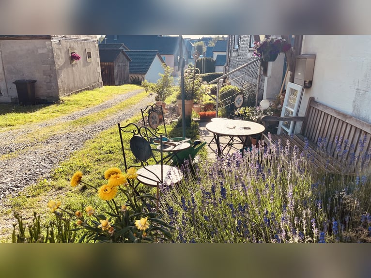 Praktikant/Praktikantin gesucht