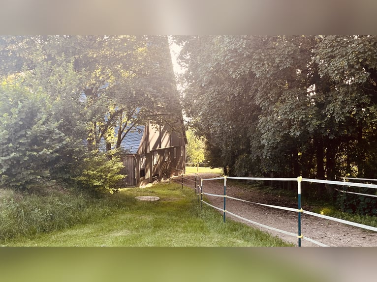 Praktikant/Praktikantin gesucht