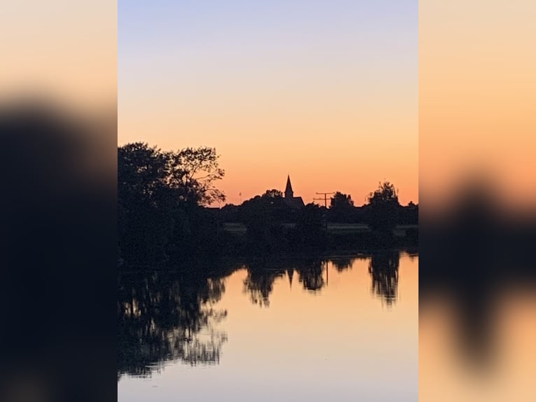 Leiter des Reitstalls am Hotel Reiterhof Altmühlsee gesucht