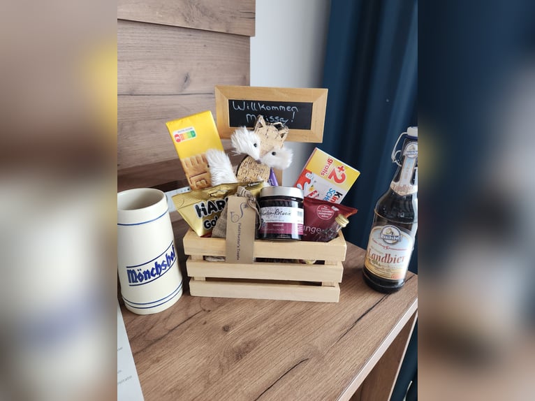 Leiter des Reitstalls am Hotel Reiterhof Altmühlsee gesucht