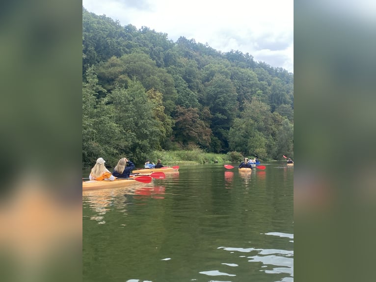 Leiter des Reitstalls am Hotel Reiterhof Altmühlsee gesucht