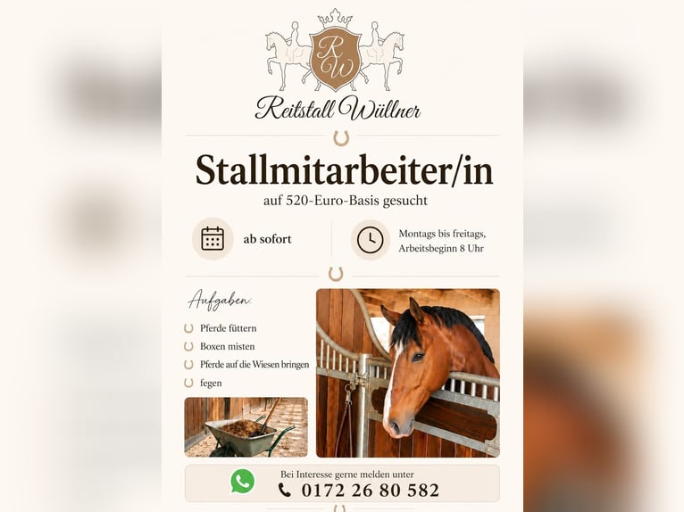 Stalldienst, Boxendienst (m/w/d)