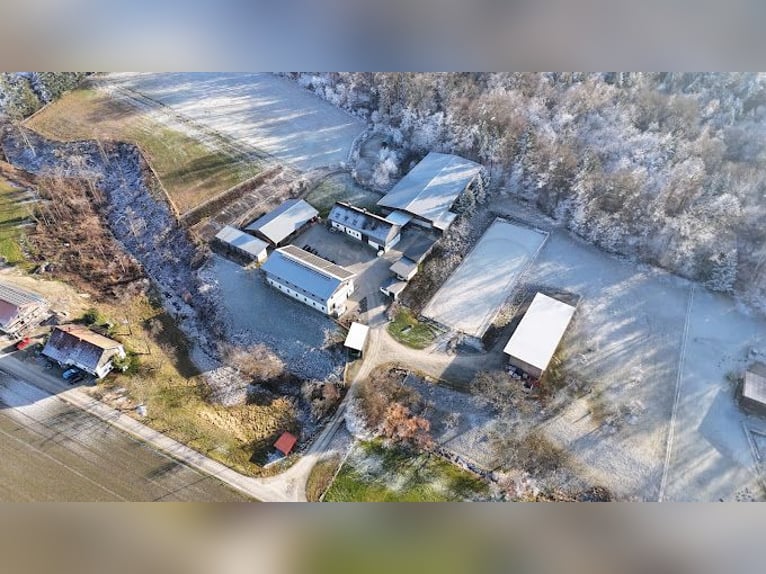Stallhilfe Bad Griesbach