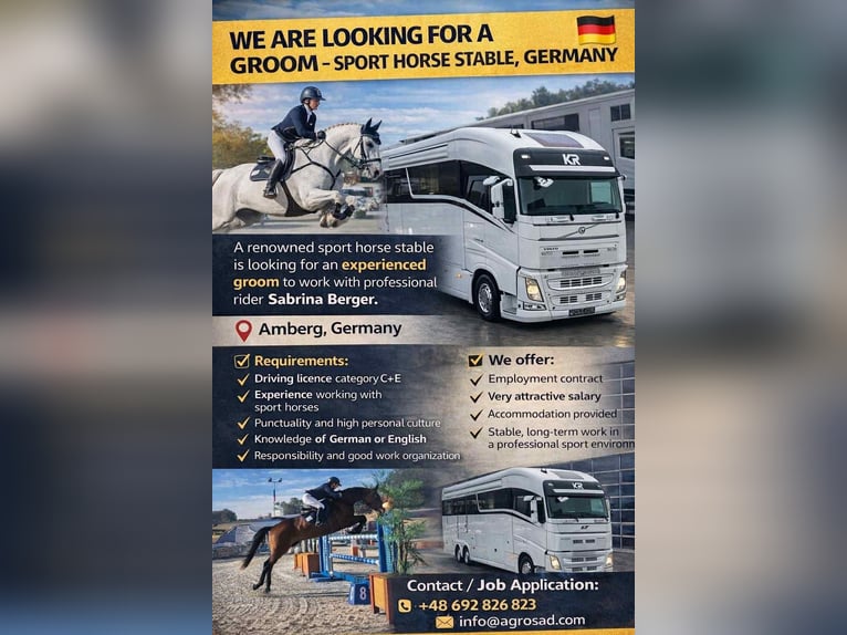 We are looking for a groom for a professional rider