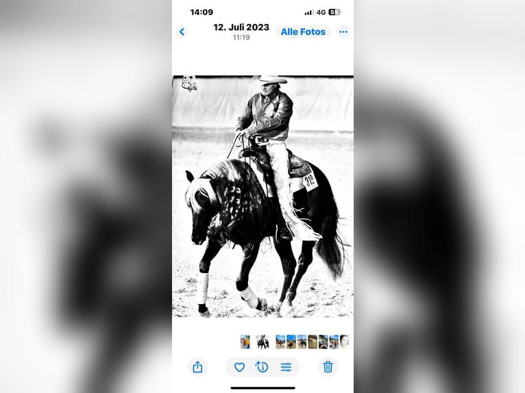 Western Training & Western Lessons