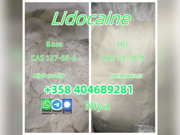 99% Pure Lidocaine Lidocaina Base Powder CAS 137-58-6