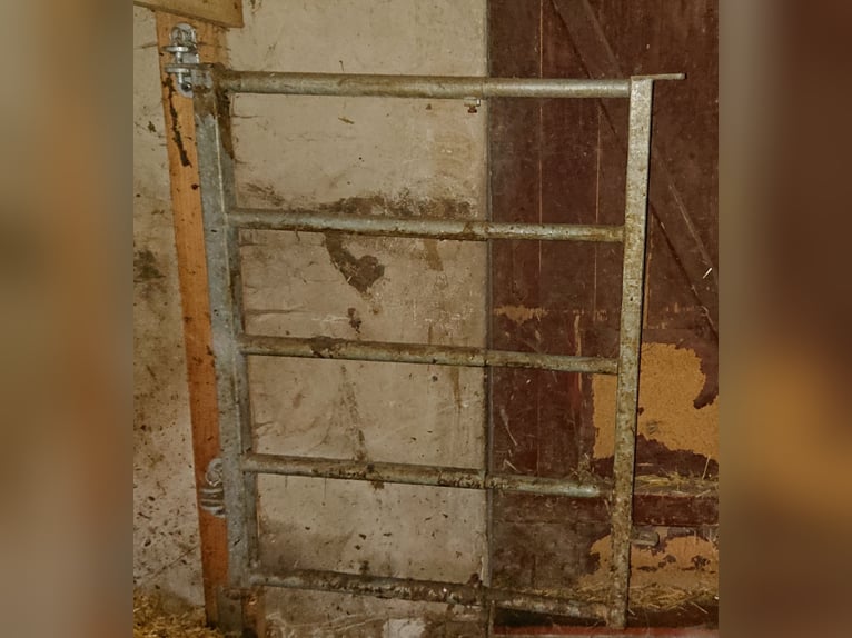 leichtes Tor von Patura