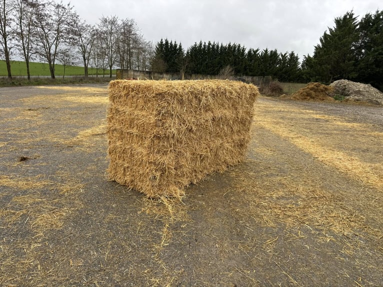 Stroh und Heu