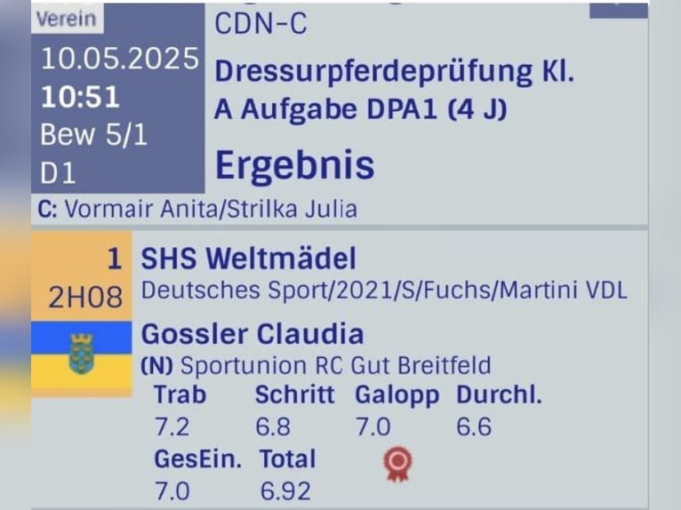 Koń brandenburski Klacz 4 lat 168 cm Kasztanowata in Tiefgraben
