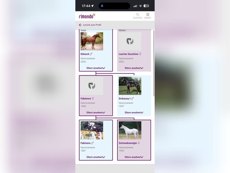 Koń hanowerski Klacz 10 lat 167 cm Kasztanowata in Crailsheim