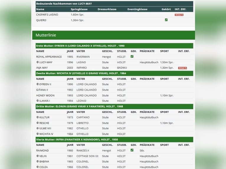 Koń hanowerski Klacz  Kasztanowata in Handrup