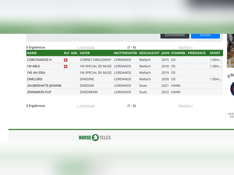 Koń holsztyński Klacz 15 lat 163 cm Gniada in Neuenkirchen